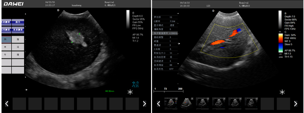 L3-VET笔记本宠物B超机的详细图