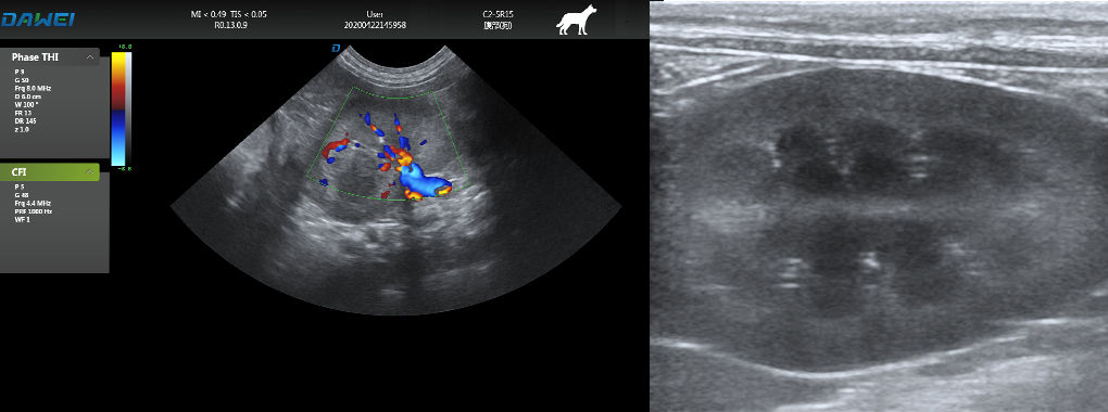 T8-VET高端双屏宠物彩超机的详细图