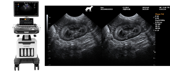 宠物做B超机器产品详情