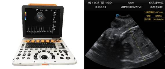 兽用宠物彩超机产品详情