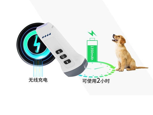 兽用无线B超机产品详情