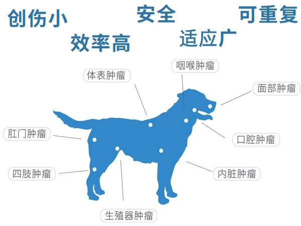 动物微波消融仪产品详情