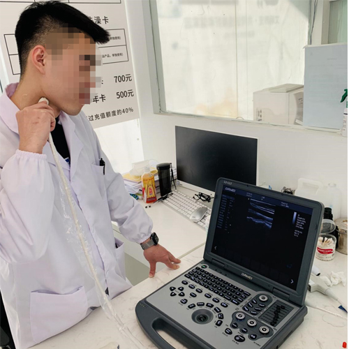 笔记本宠物超声诊断仪