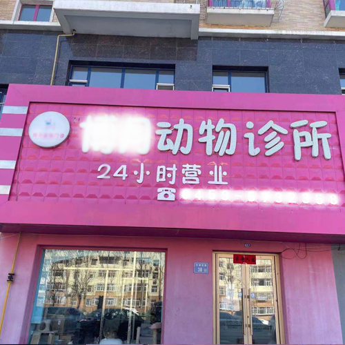 动物诊所彩超机客户案例