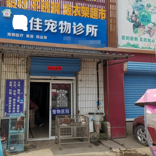 大为宠物医疗宠物彩超机