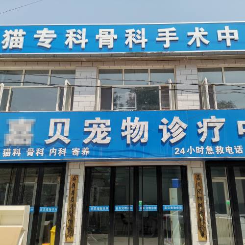 宠物店黑白B超机