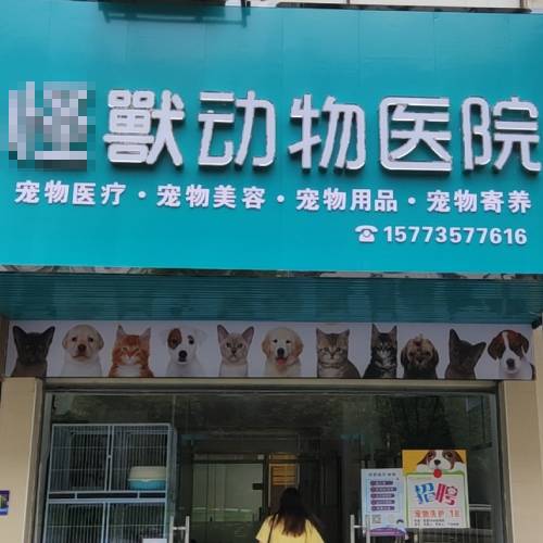 犬猫兽用B超机