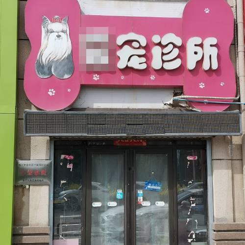 宠物诊所彩超机