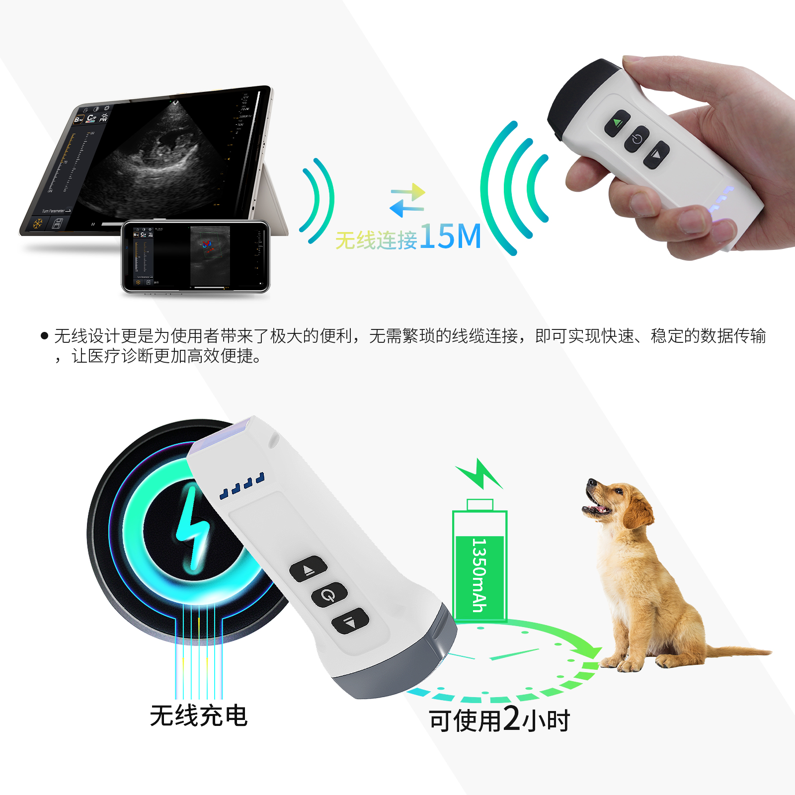 无线智能双探头